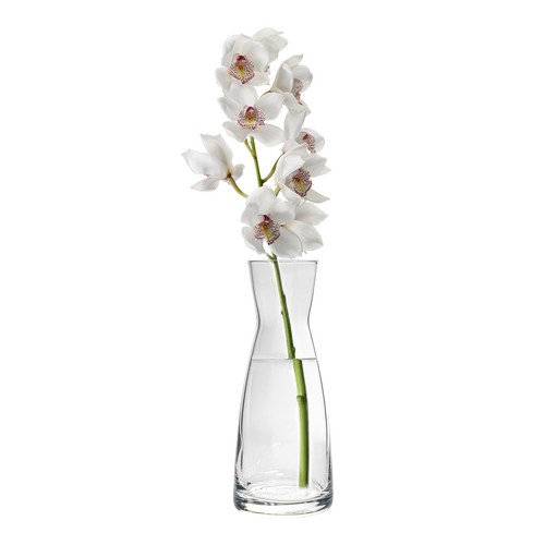 Bormioli rocco ypsilon glass - bormioli,